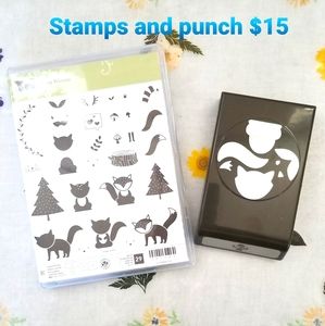 Coordinating Clear Stamps and Punch